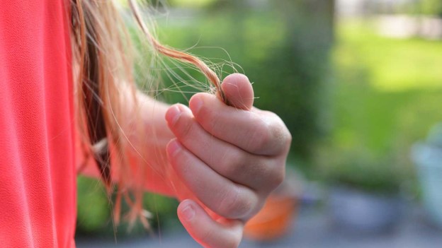 frauen haar