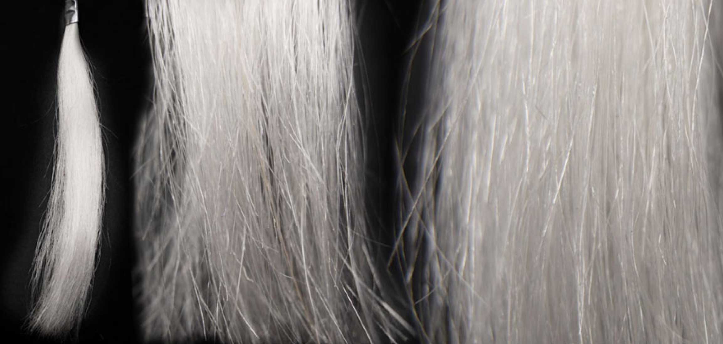 Echtes Grau Haare
