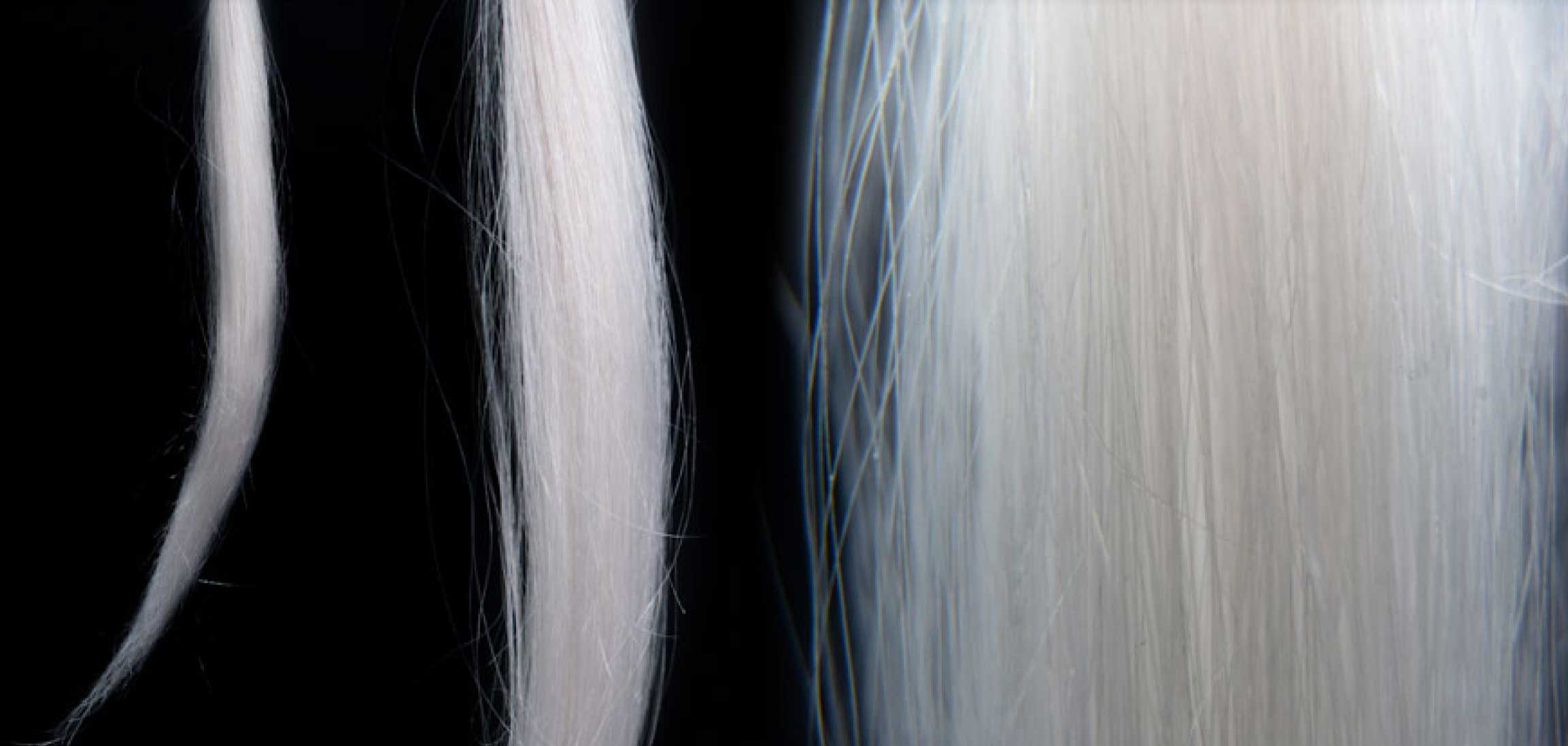 Europäisches Graues Haar