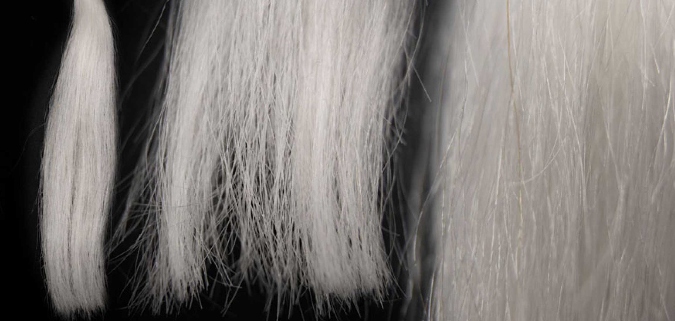 Yaki Graues Haar